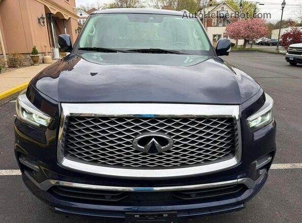 JN8AZ2NFXL9703905 2020 INFINITI QX80 Черный Вид сзади