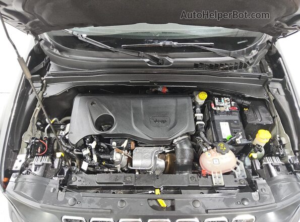 ZACNJAB13KPK04302 2019 JEEP RENEGADE Gray Widok naklejki z numerem VIN