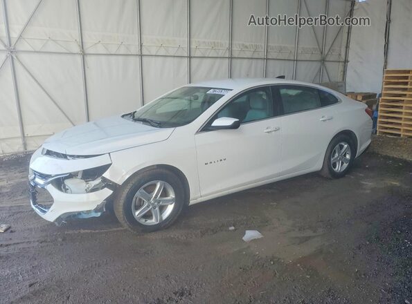 1G1ZB5ST2RF173656 2024 CHEVROLET MALIBU Белый Передняя левая четверть