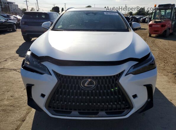 2T2ADCAZ0RC007200 2024 LEXUS NX Белый Вид сзади