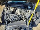 2023 Cadillac Ct4 Sport Черный vin: 1G6DC5RK2P0106683