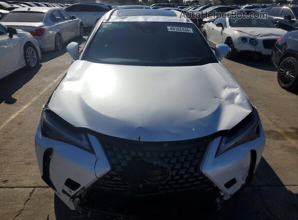 JTHYBJAH4S2017915 2025 LEXUS UX Белый Вид сзади