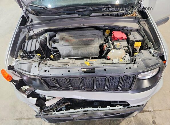 ZACNJBBB8LPL33295 2020 JEEP RENEGADE Silver Вид наклейки з VIN-кодом