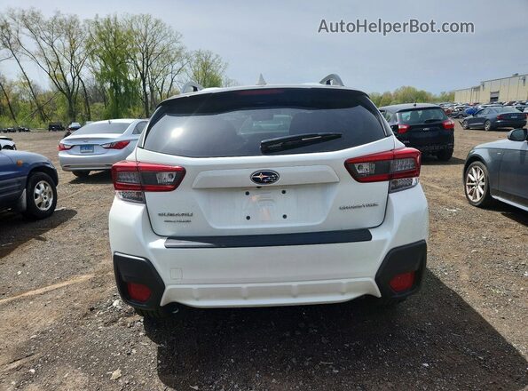 JF2GTAEC5PH257537 2023 SUBARU CROSSTREK White Widok z tyłu