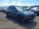 2023 Subaru Forester Wilderness Gray vin: JF2SKALC3PH419634