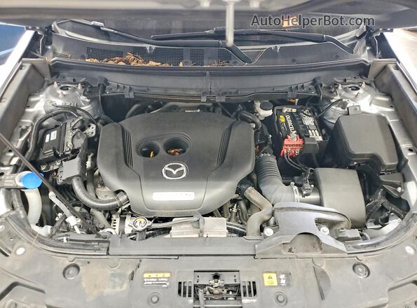 JM3TCBAY8P0659126 2023 MAZDA CX-9 Серебряный Вид задней части салона