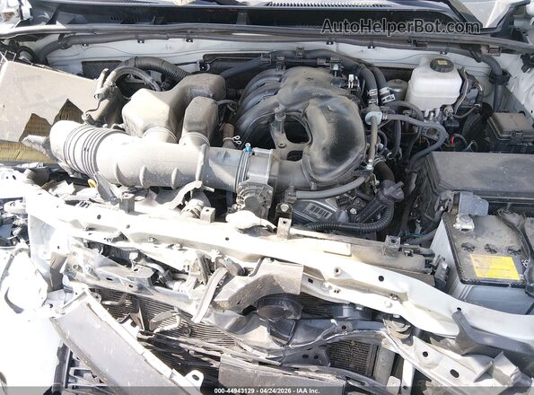 JTERU5JRXP6143871 2023 TOYOTA 4RUNNER Белый Вид сзади