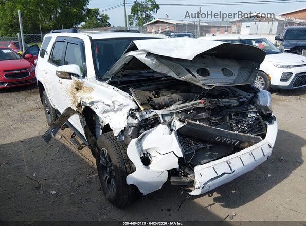 JTERU5JRXP6143871 2023 TOYOTA 4RUNNER Белый Передняя правая четверть