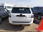 2023 Toyota 4runner Trd Off Road Premium Белый vin: JTERU5JRXP6143871