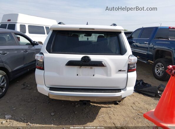 JTERU5JRXP6143871 2023 TOYOTA 4RUNNER Белый 