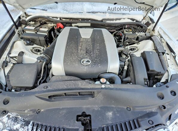 JTHC81F20P5052020 2023 LEXUS IS Белый Вид задней части салона