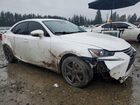2017 Lexus Is 300 Base Белый vin: JTHCM1D27H5023601