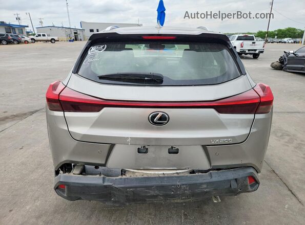 JTHP3JBH7L2023524 2020 LEXUS UX Gray Widok z tyłu