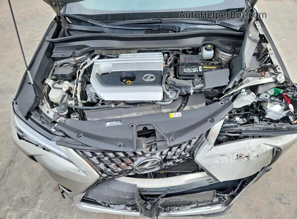 JTHP3JBH7L2023524 2020 LEXUS UX Gray Widok komory silnika