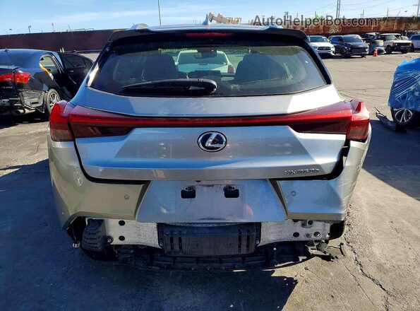 JTHP9JBH2L2031156 2020 LEXUS UX Серый Вид сзади