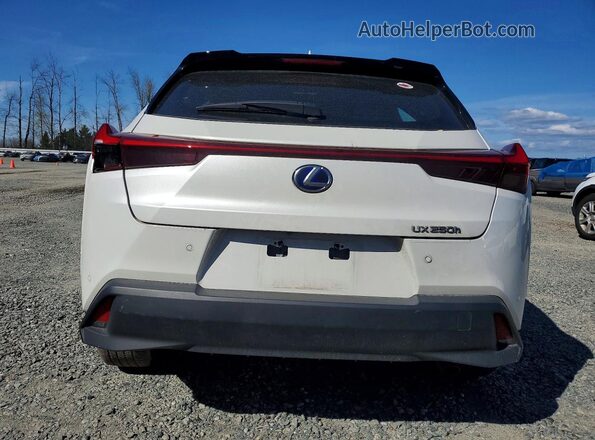 JTHP9JBH3N2062435 2022 LEXUS UX White Rear view