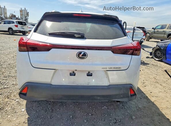 JTHP9JBH3P2066679 2023 LEXUS UX Белый Вид сзади