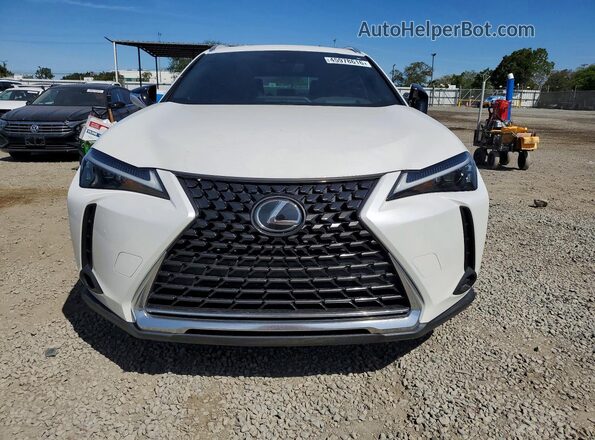 JTHP9JBH3P2066679 2023 LEXUS UX Белый Вид спереди