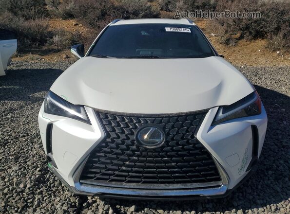 JTHP9JBH7P2066636 2023 LEXUS UX White Vista frontal