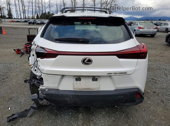 JTHP9JBH7P2069357 2023 LEXUS UX Белый Вид сзади