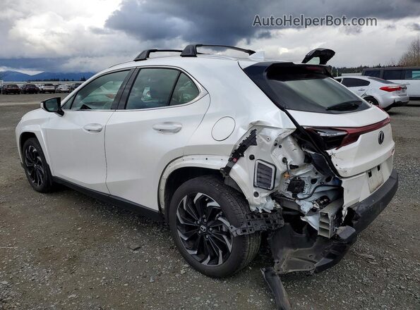 JTHP9JBH7P2069357 2023 LEXUS UX Белый Задняя левая четверть
