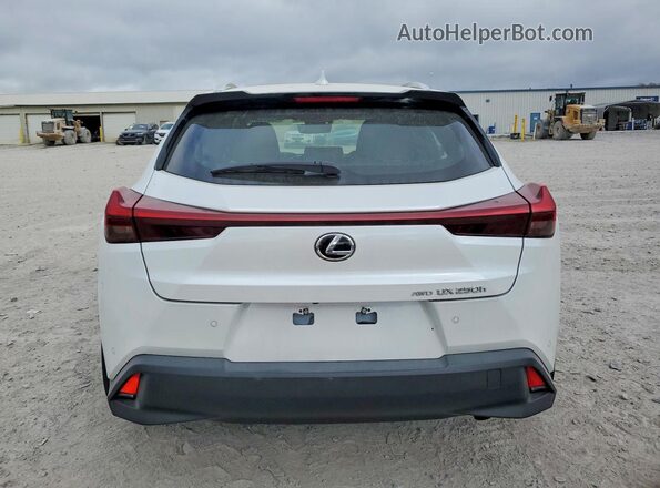 JTHP9JBH7R2076988 2024 LEXUS UX White Widok z tyłu
