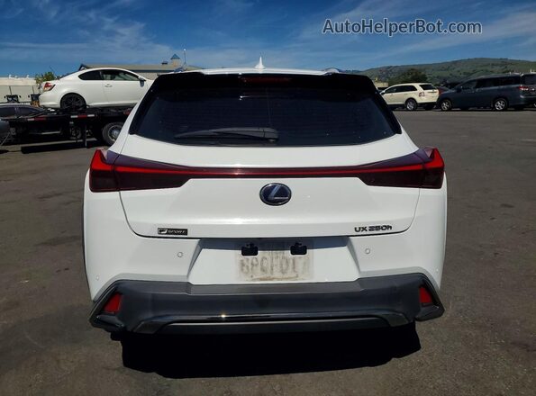 JTHR9JBH2L2021705 2020 LEXUS UX Белый Вид сзади