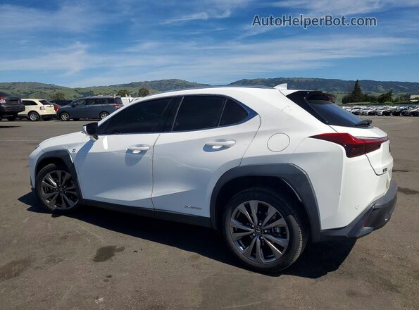 JTHR9JBH2L2021705 2020 LEXUS UX Белый Задняя левая четверть