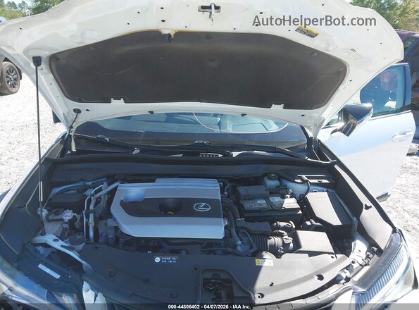 JTHX3JBH3M2032044 2021 LEXUS UX 200 White Հետևի տեսք