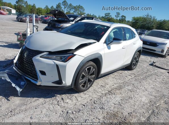 JTHX3JBH3M2032044 2021 LEXUS UX 200 White Առջևի ձախ երեք քառորդ տեսարան
