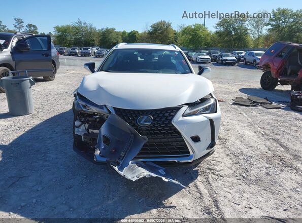 JTHX3JBH3M2032044 2021 LEXUS UX 200 White Սալոնի հետևի տեսք