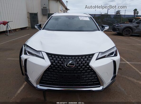 JTHY3JBH0K2019236 2019 LEXUS UX 200 White Rear interior view