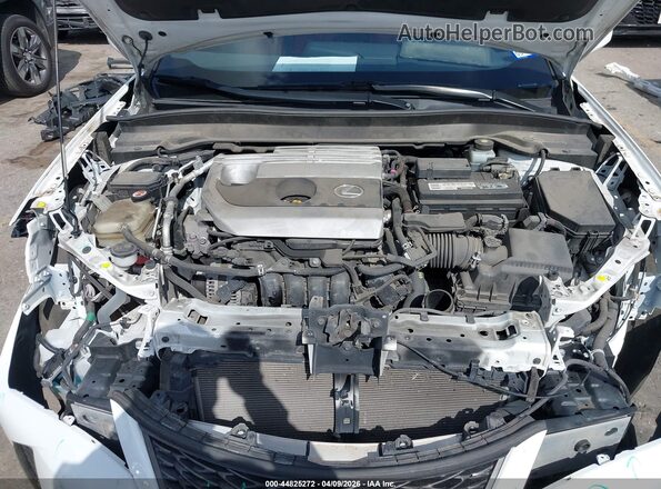 JTHY3JBH2K2006620 2019 LEXUS UX 200 White Հետևի տեսք