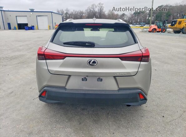 JTHY3JBH6K2003560 2019 LEXUS UX Gray Widok z tyłu
