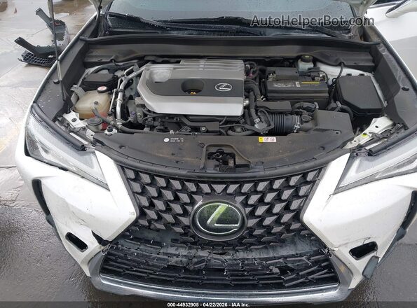 JTHY3JBHXK2007563 2019 LEXUS UX 200 White Հետևի տեսք
