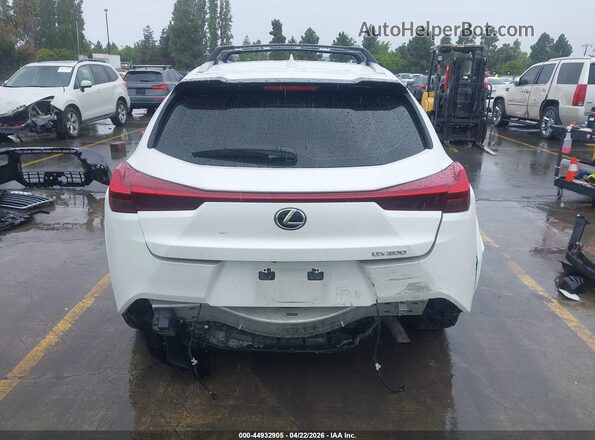JTHY3JBHXK2007563 2019 LEXUS UX 200 White 