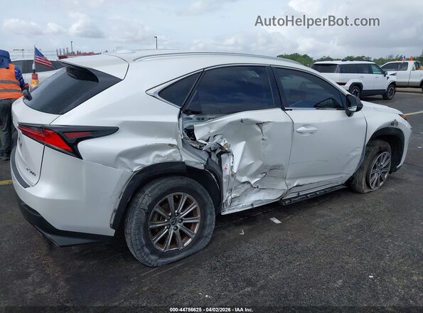 JTJAARBZ2L5007070 2020 LEXUS NX 300 Белый Вид спереди