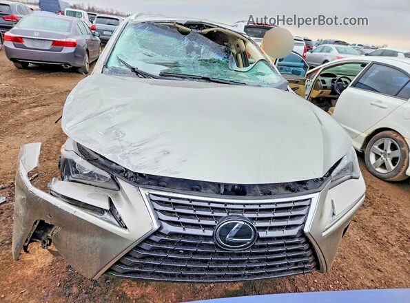 JTJBARBZ1J2163345 2018 LEXUS NX Серебряный Вид спереди