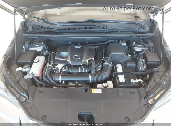 JTJBARBZ2H2097575 2017 LEXUS NX 200T Champagne Widok z tyłu