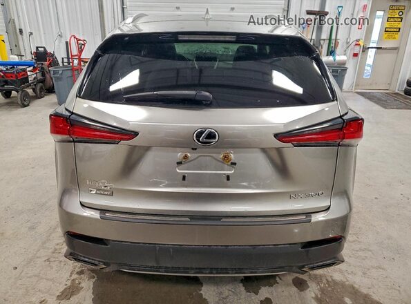 JTJBARBZ2K2179779 2019 LEXUS NX Silver Вид ззаду