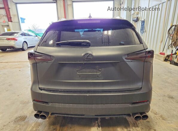 JTJBARBZ3H2135685 2017 LEXUS NX Черный Вид сзади