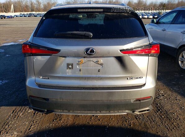 JTJBARBZ6K2181275 2019 LEXUS NX Серый Вид сзади