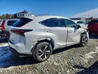 2019 Lexus Nx 300 Белый vin: JTJBARBZ7K2199235