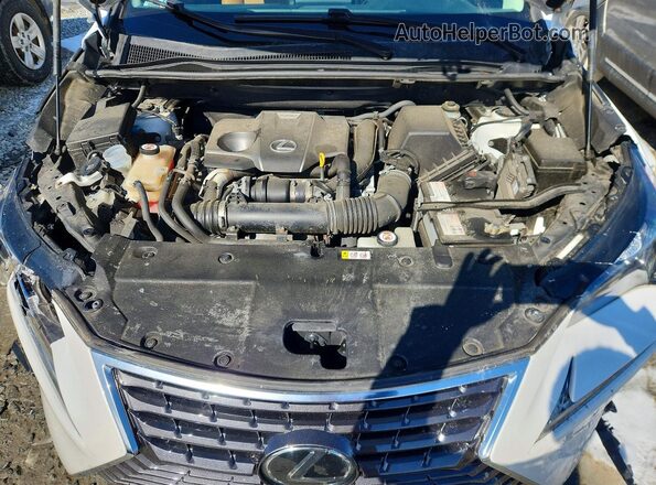 JTJBARBZ7K2199235 2019 LEXUS NX Белый Вид подкапотного пространства