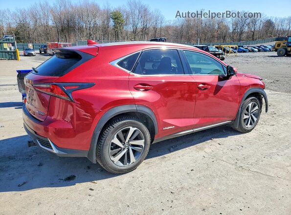 JTJBJRBZ6K2117740 2019 LEXUS NX Красный Задняя правая четверть