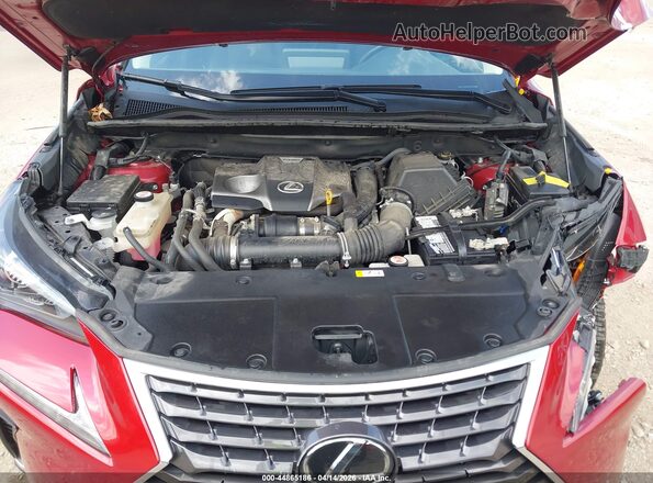 JTJDARDZ4L5016105 2020 LEXUS NX 300 Красный Вид сзади