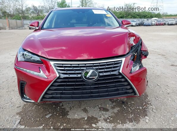 JTJDARDZ4L5016105 2020 LEXUS NX 300 Красный Вид задней части салона