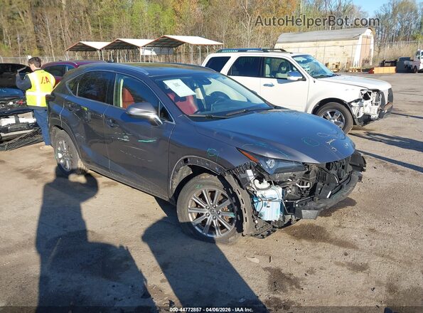 JTJDARDZ7M2251634 2021 LEXUS NX 300 Серый Передняя правая четверть
