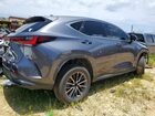 2024 Lexus Nx 250 Premium Charcoal vin: JTJGDCAZ8R2010534