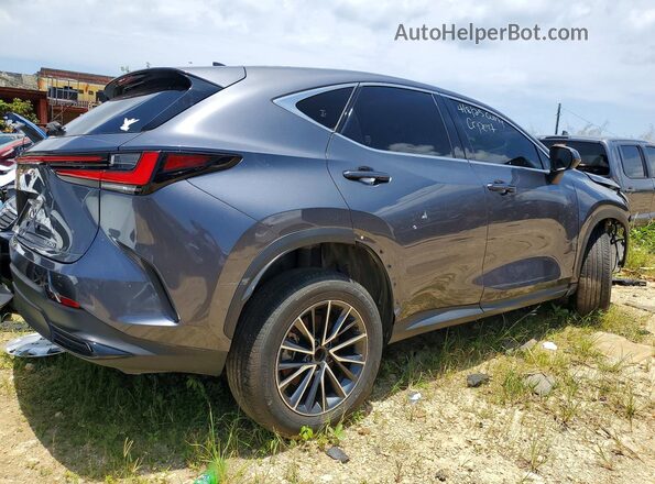 JTJGDCAZ8R2010534 2024 LEXUS NX Charcoal Tył prawy